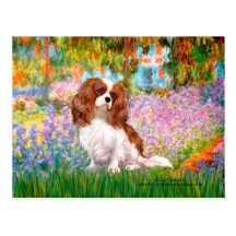 Cavalier 2 (Bl) - Garden (M) Post Cards