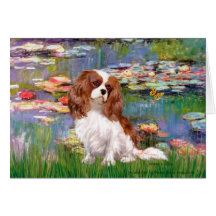 Cavalier 2 (bl) - Lilies 2 Card