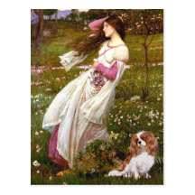 Cavalier 2 (Bl) - Windflowers Postcard