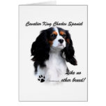 Cavalier comme aucun autre race cartes de vœux