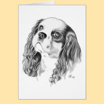 Cavalier King Charles Drawing cards