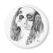 Cavalier King Charles Drawing Fridge Magnets