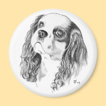 Cavalier King Charles Drawing magnets