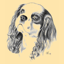 Cavalier King Charles Drawing t-shirts