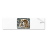Cavalier King Charles Spaniel 8R16D-01 Bumper Sticker