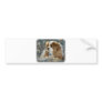 Cavalier King Charles Spaniel 8R16D-01 Bumper Sticker