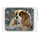 Cavalier King Charles Spaniel 8R16D-01 Card