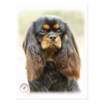 Cavalier King Charles Spaniel 9F51D-03 Post Cards