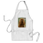 Cavalier King Charles Spaniel 9F51D-10 aprons