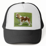 Cavalier King Charles Spaniel 9J001D-06 Mesh Hats