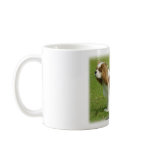 Cavalier King Charles Spaniel 9J001D-06 Mugs