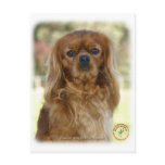 Cavalier King Charles Spaniel 9K027D-13 Post Cards