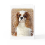 Cavalier King Charles Spaniel 9L005D-08 Greeting Card