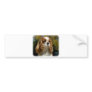 Cavalier King Charles Spaniel 9R026D-154 Bumper Sticker