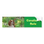 Cavalier King Charles Spaniel Bumper Sticker