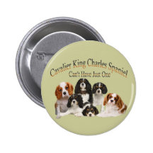 Cavalier King Charles Spaniel Can't Have Just One Buttons