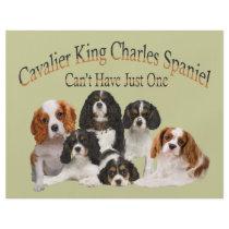 Cavalier King Charles Spaniel Can't Have Just One