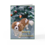 Cavalier King Charles Spaniel Christmas Gifts Greeting Cards