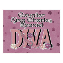 Cavalier King Charles Spaniel DIVA Post Cards