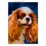 Cavalier King Charles Spaniel Dog Art - Chelsea Cards
