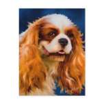 Cavalier King Charles Spaniel Dog Art - Chelsea Post Card