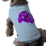 Cavalier King Charles Spaniel Dog Clothing