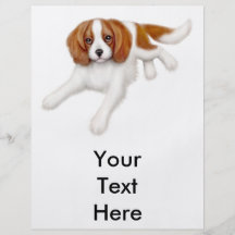 Cavalier King Charles Spaniel Flyer