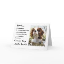 Cavalier King Charles Spaniel Gifts