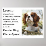 Cavalier King Charles Spaniel Gifts Poster