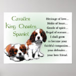 Cavalier King Charles Spaniel Gifts Poster