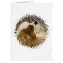 Cavalier King Charles Spaniel Greeting Card