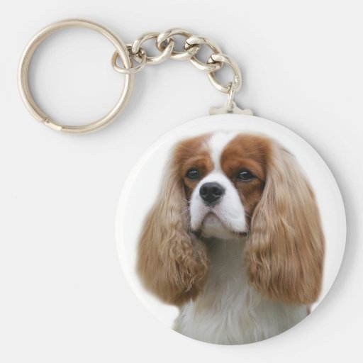 Cavalier King Charles Spaniel Key Chains