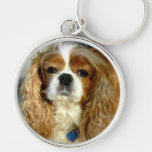 Cavalier King Charles Spaniel Key Ring Key Chains
