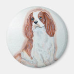 Cavalier King Charles Spaniel Magnet