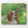 Cavalier King Charles Spaniel  Mousepad