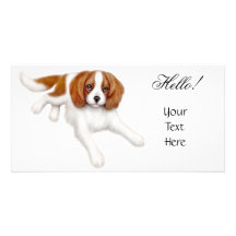 Cavalier King Charles Spaniel Photo Card