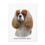 Cavalier King Charles Spaniel Postcards
