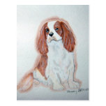 Cavalier King Charles Spaniel Postcard