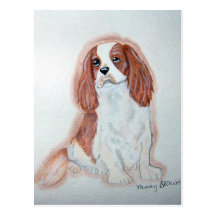 Cavalier King Charles Spaniel Postcard