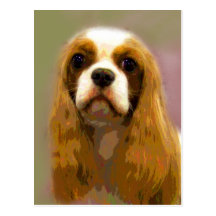 Cavalier King Charles Spaniel Postcards