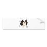 Cavalier King Charles Spaniel (tricolor) History