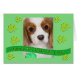 Cavalier King Charles Spaniels St. Patrick's Day Cards
