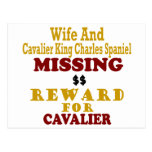 Cavalier King Charles & Wife Missing Reward For Ca Post Card