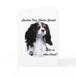 Cavalier Like No Other Breed Card