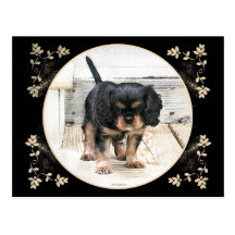 Cavalier Post Card