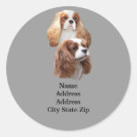 Cavalier Pretty Girls Address Label Stickers
