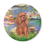 Cavalier (Ruby7) - Lilies 2 Magnets