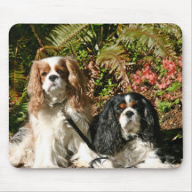 Cavalier Spaniels Mousepad