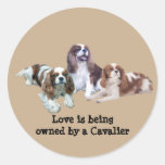 Cavalier Threesome Sticker
