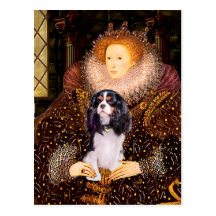 Cavalier (Tri) - Queen Postcard